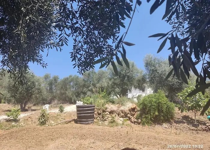 度假居 Corfu Oasis Neochorakion