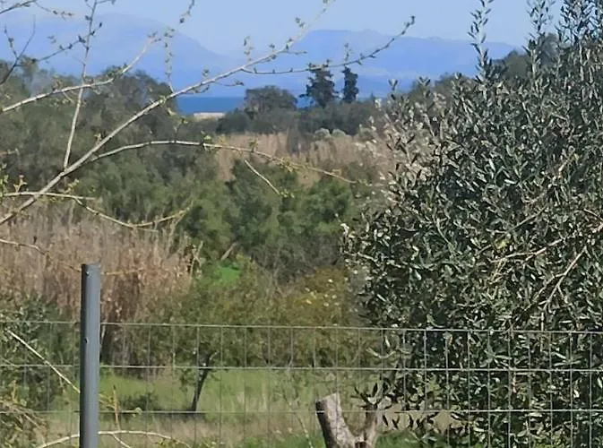 Corfu Oasis 度假居