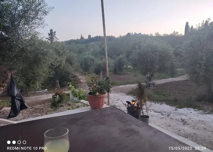 Corfu Oasis 度假居 *