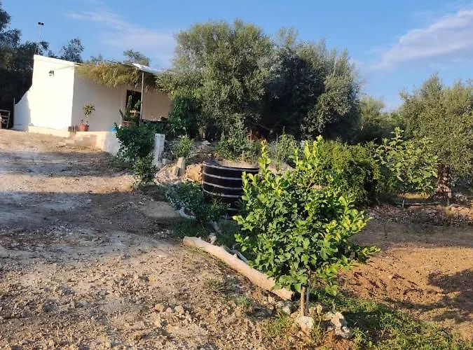 Corfu Oasis Neochorakion