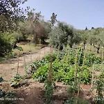 Corfu Oasis * Neochorakion