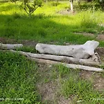 Nyaraló Corfu Oasis *