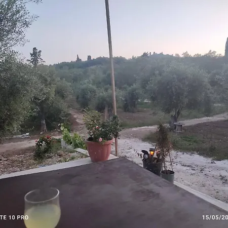 Corfu Oasis Holiday home *