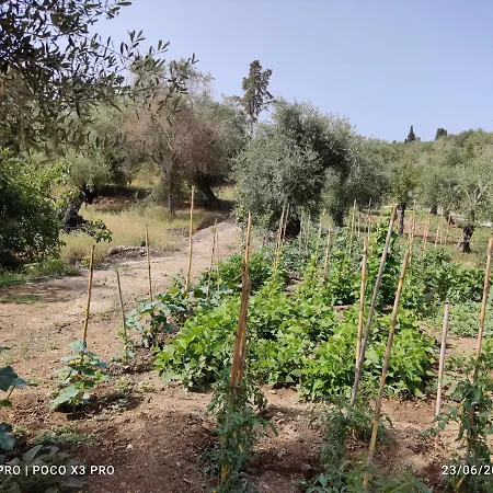 Corfu Oasis * Neochorakion