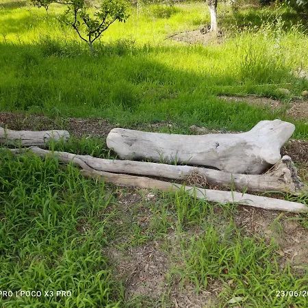 بيت للعطل Corfu Oasis *