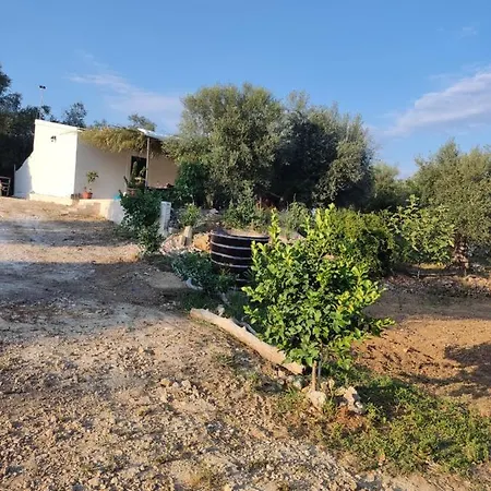 Corfu Oasis Neochorakion