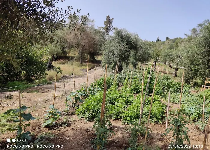 Corfu Oasis * Neochorakion