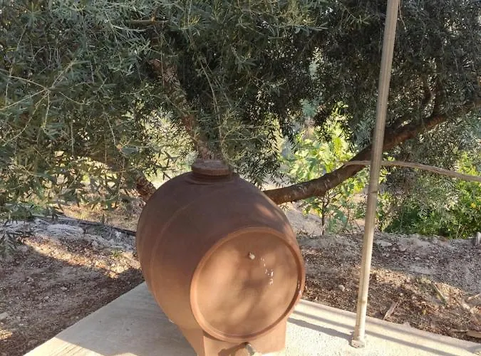 Corfu Oasis Neochorakion