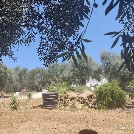 度假居 Corfu Oasis Neochorakion